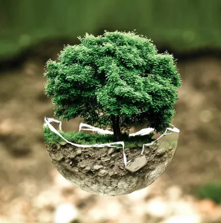 Tree Globe